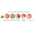Tourmaline 700 Stone Full Body Thermal Spine Heating Mat
